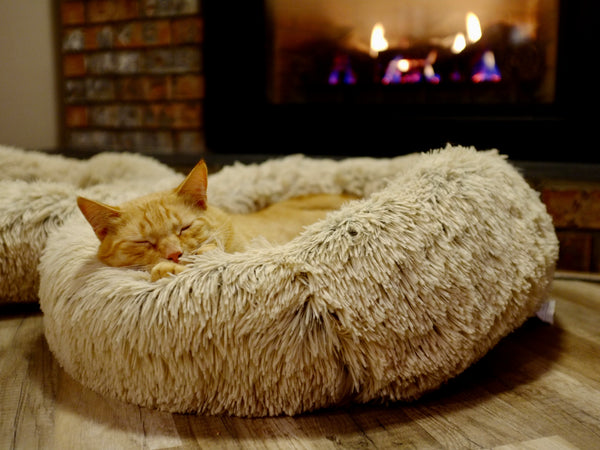 Beds & Comfort