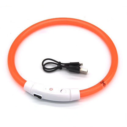 LED Pet Luminous Collar USB Charging Collar Teddy anti Lost Collar Dog Cat Accessories Supplies