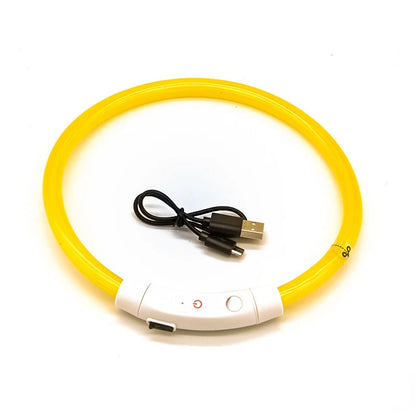 LED Pet Luminous Collar USB Charging Collar Teddy anti Lost Collar Dog Cat Accessories Supplies