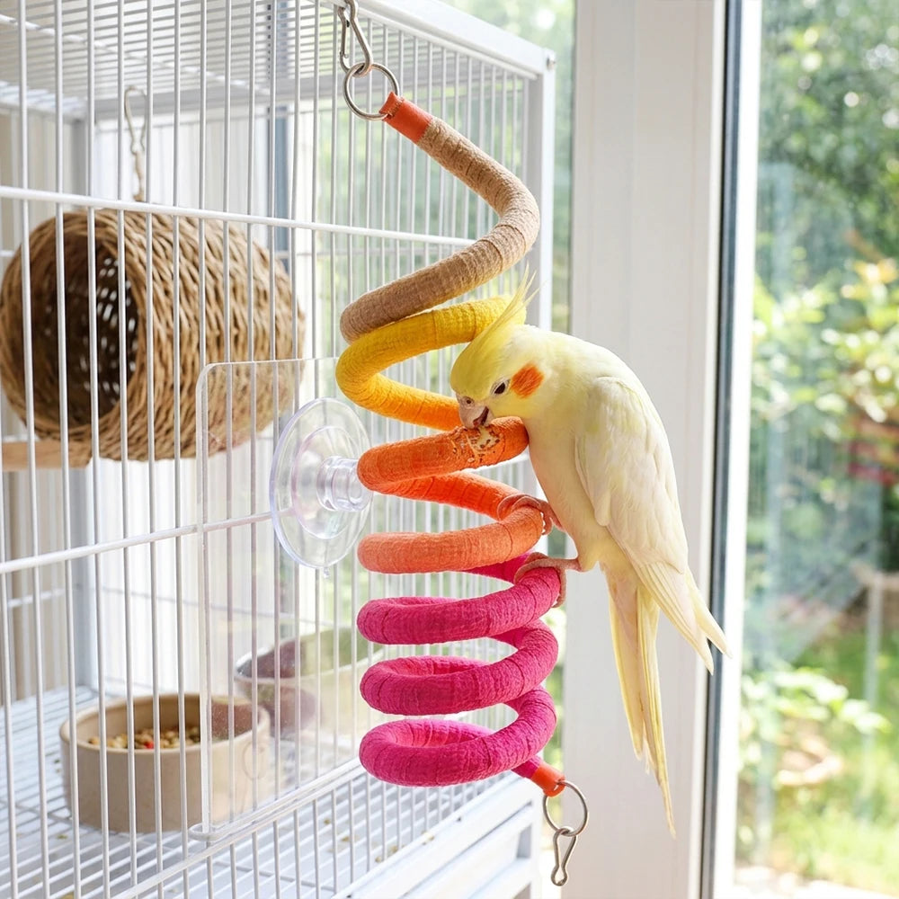 1PC Bird Spiral Rope Perch Parrot Bungee Toy Suction Cup Window Stand Cage Climbing Stick for Cockatiel Budgie Lovebird Supplies