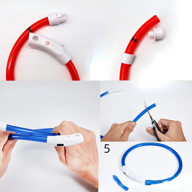 LED Pet Luminous Collar USB Charging Collar Teddy anti Lost Collar Dog Cat Accessories Supplies