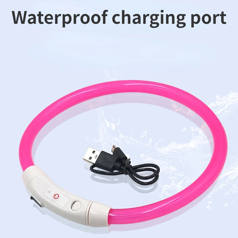 LED Pet Luminous Collar USB Charging Collar Teddy anti Lost Collar Dog Cat Accessories Supplies