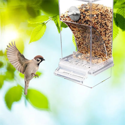 Acrylic No Mess Bird Feeders Automatic Parrot Feeder Drinker Food Container for Perch Budgerigar Parakeets Bird Cage Accessories