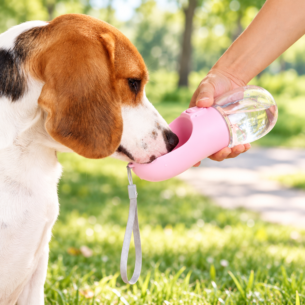 Beagle drinking from a pink bottle in an illustrative park setting
