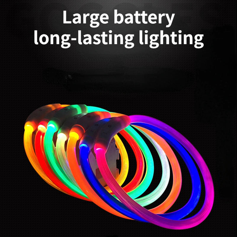 LED Pet Luminous Collar USB Charging Collar Teddy anti Lost Collar Dog Cat Accessories Supplies